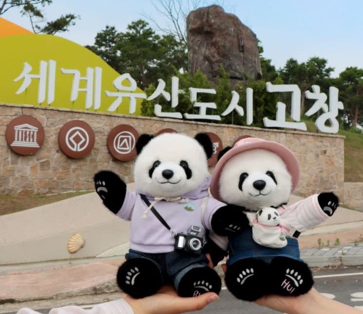 에버랜드 쌍둥이 판다 루이&후이, '판다 할부지' 고향부터 전국 여행 떠난다