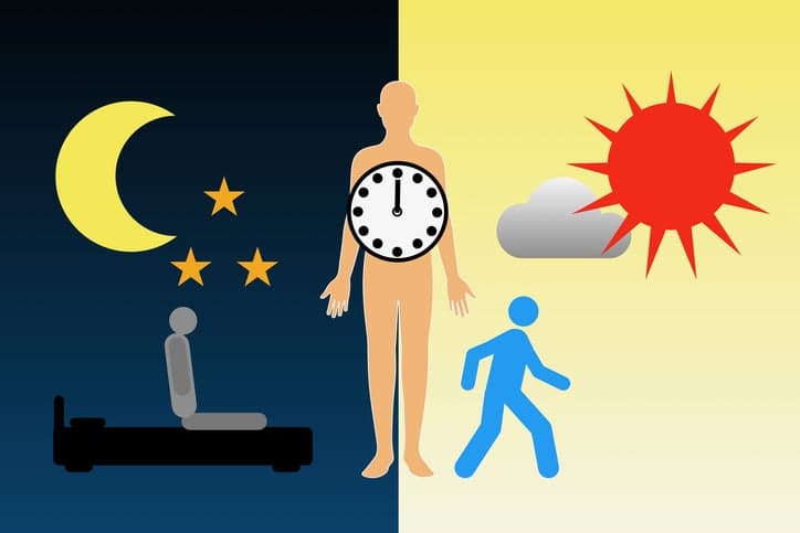 '생체리듬' 혈당 조절과 밀접…"오후 운동·충분한 수면, 혈당 변동성 낮아"