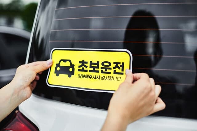 7월부터 '무등록 운전교육' 알선·광고만 해도 처벌…블로그·카페도 단속
