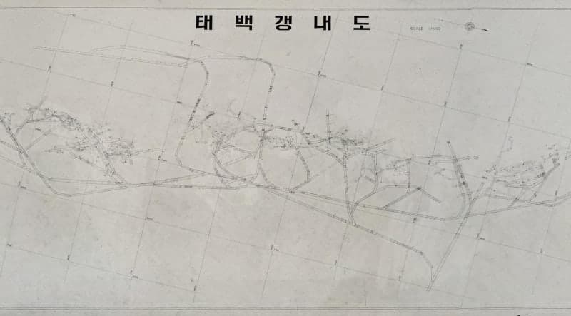 6m 지도에 담긴 80년대 태백 탄광 내부…'검은 황금' 태백의 그때 그 시절