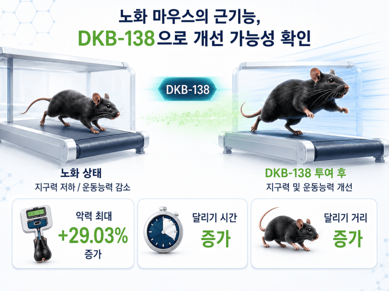 노쇠한 쥐 악력 29% 높인 전통 약재 '형개', 동국제약과 공동연구로 노화성 근기능 저하 개선 효과 확인