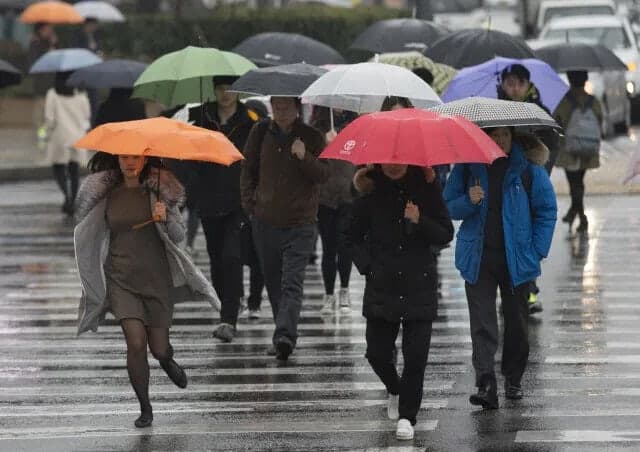 주말 전국에 시간당 50mm 폭우…기상청 "장마 시작은 아냐"