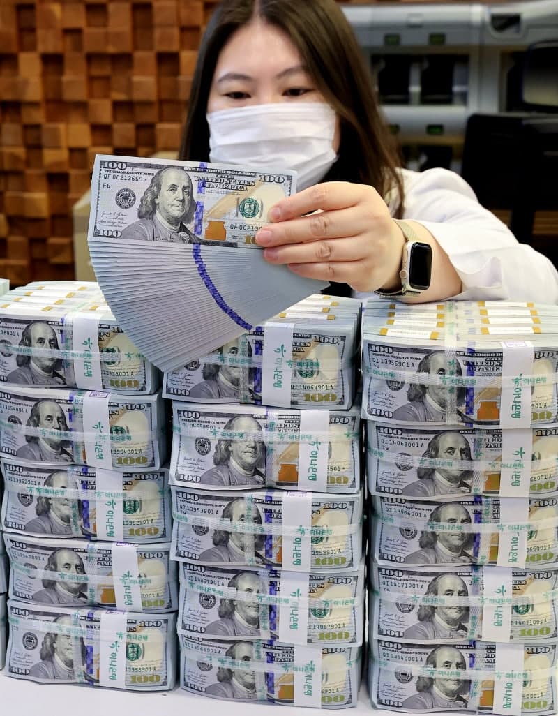 한은 "해외투자 3% 늘면 환율 0.7%p 상승…재투자 증가도 상승 압력"