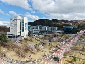 “하버드·MIT·칼텍과 나란히”…DGIST, QS 논문 피인용 지표 2년 연속 국내 1위