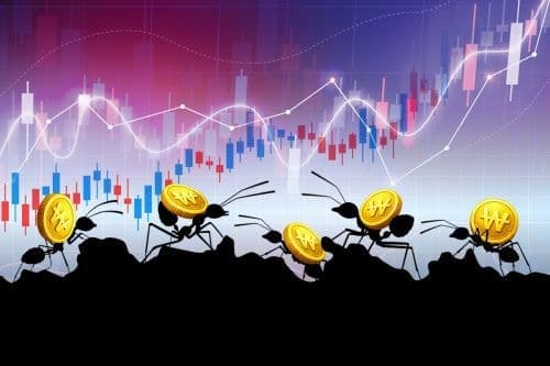 “삼전닉스로!” 개미마저 탈출… 9천선 돌파 코스피 vs 1천선 무너진 코스닥 양극화 왜?
