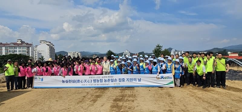강호동 농협중앙회장 등 범농협 1000여명, 강원 평창 농가 찾아 일손 돕기 구슬땀