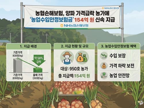 양파값 58% 급락에 농협손보, 농가에 '농업수입안정보험금' 154억 신속 지급