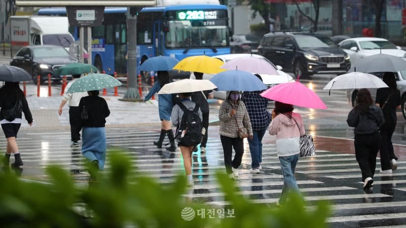 전국 곳곳 장대비에 나무 쓰러지고 차량 전복…충청권 피해 신고 잇따라