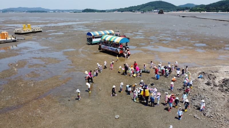 연간 12만명 찾는 경기도 갯벌 체험장, 패류 중금속 안전성 조사