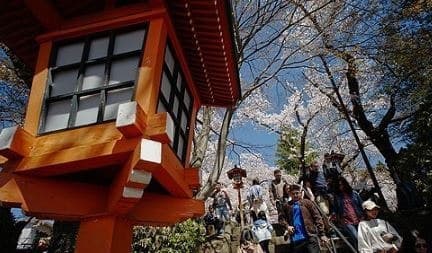 中, 대일 희토류·반도체장비 수출 위축…日경제 '비상'