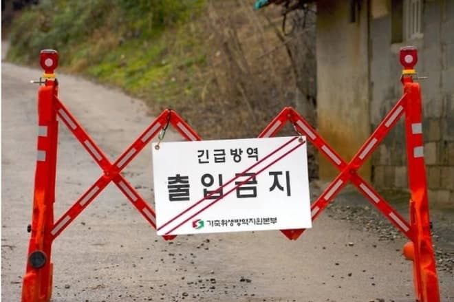 울산보건환경연구원, 장마철 아프리카돼지열병 유입 우려에 "방역수칙 준수해야" 당부