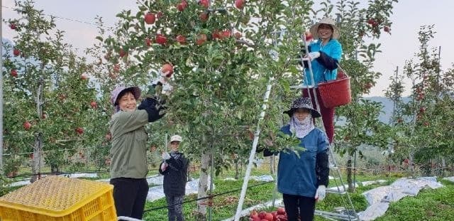 경북도, 외국인 계절근로자 '통합 검진 시범 사업'으로 건강권 체계적 보호 및 감염병 예방