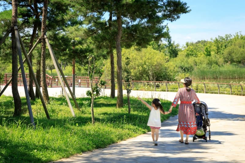 내일 낮 최고 30도, 중부지방 맑음…제주 비·강풍 주의, 수도권 오존 '나쁨'