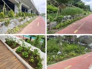 서대문구, 불광천 녹지 경관 개선으로 산책 환경 '업그레이드'