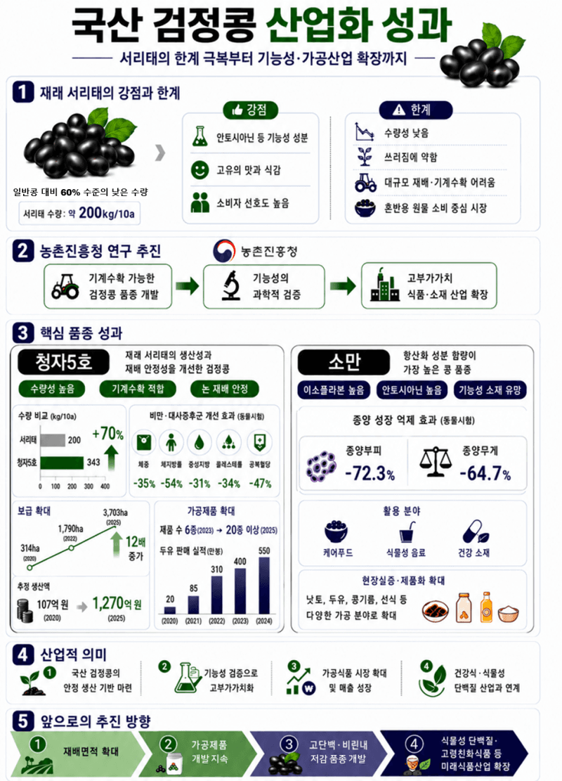 국산 검정콩 산업화 속도…'청자5호' 재배면적 5년새 12배↑ 고부가가치 국산 콩 소비 촉진 기대