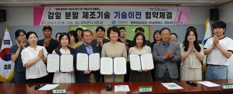 경북농업기술원, 감잎 분말 제조기술 3개 업체에 무상 이전…"감잎 활용도 높인다"