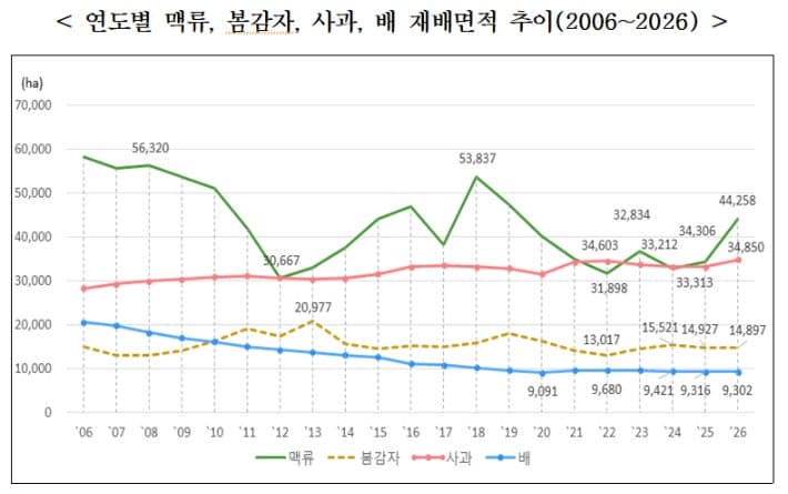 맥류 재배면적 29% 급증, 사과 5% 증가 vs 배·봄감자는 보합세