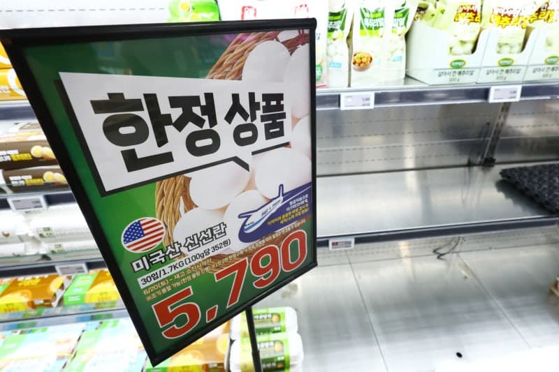 “금란”된 계란에 수입란 완판 행렬…대형마트, 물량 확보 총력전