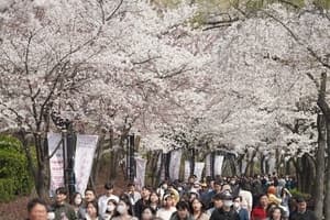 “요즘 어디서 노냐고? 송파구!” 전국 관광도시 경쟁력 1위 올라