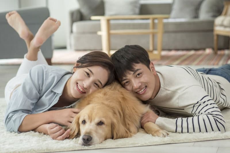 “강아지 입양 어떻게 생각하나요”…농식품부, '동물복지 정책참여단'과 간담회