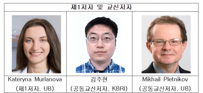 한국뇌연구원, 뇌 속 성상교세포 'NPAS3' 단백질이 인지 기능 유지하는 에너지 스위치 원리 규명