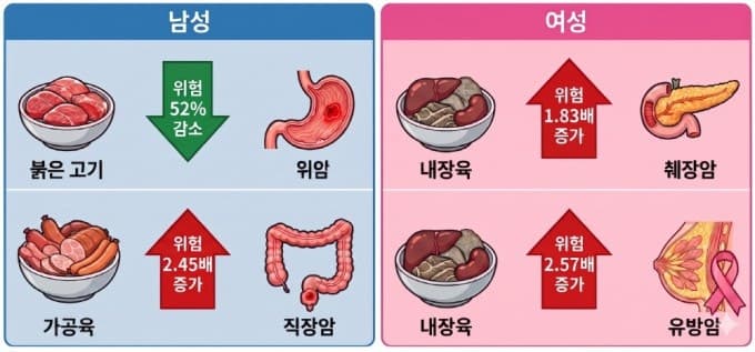 "같은 고기인 줄 알았는데"…육류 종류 따라 '암 사망 위험' 달랐다