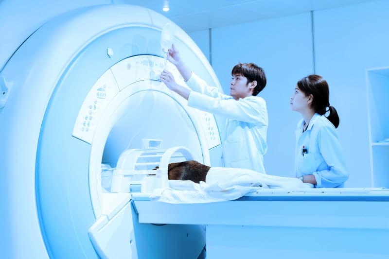 “작년 한 해만 650억 샜다”…동네서 찍은 CT 4명 중 1명 다른 병원서 또 찍어 건보재정 ‘줄줄’