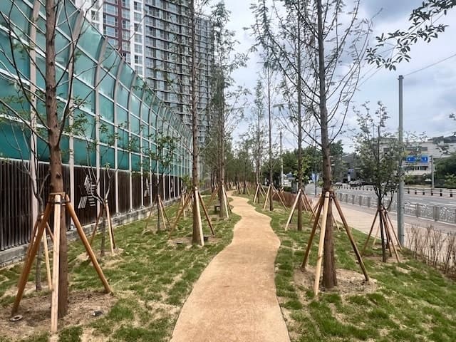 청주시, 도시바람길숲 '단재로 연결숲' 조성 완료
