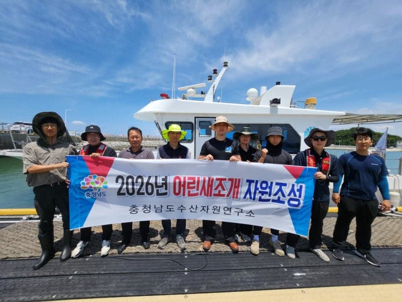 충남도, "위기의 서해 어촌 구한다"...천수만에 새조개 10만 마리 방류