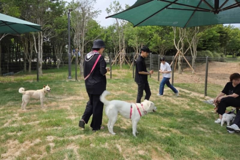 광주 서구, 30일 '광주 최초' 공공 반려견 놀이터 풍암체육공원 내 문 연다