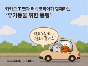 카카오 T 펫, 화면 속 강아지 쓰다듬으면 유기동물 돕는다