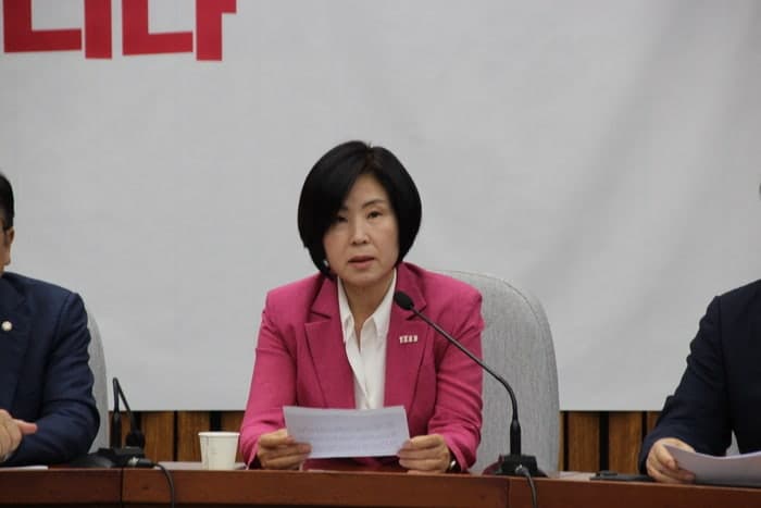 김미애 "추가 반도체 클러스터 왜 필요한가…국가 전략부터 설명해야"