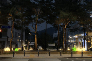 서초구, 청계산입구역 상권 경관조명 설치 완료…야간 보행환경 개선 및 지역 행사 대응