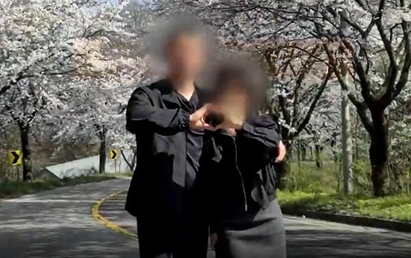 "벚꽃 예쁘다" 그 순간 부부 덮쳤다…두 아이 엄마 앗아간 '담금주 7잔' 음주 차량