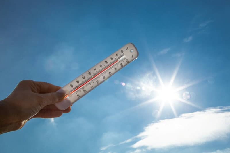서울 전역 올여름 첫 폭염주의보 발효…온열질환자 지난해보다 31.7%↑