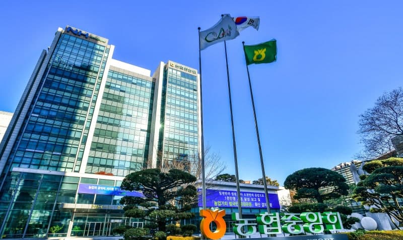 국세청, 농협중앙회 특별세무조사 착수…조사요원 130여 명 투입해 탈세·횡령 여부 추적