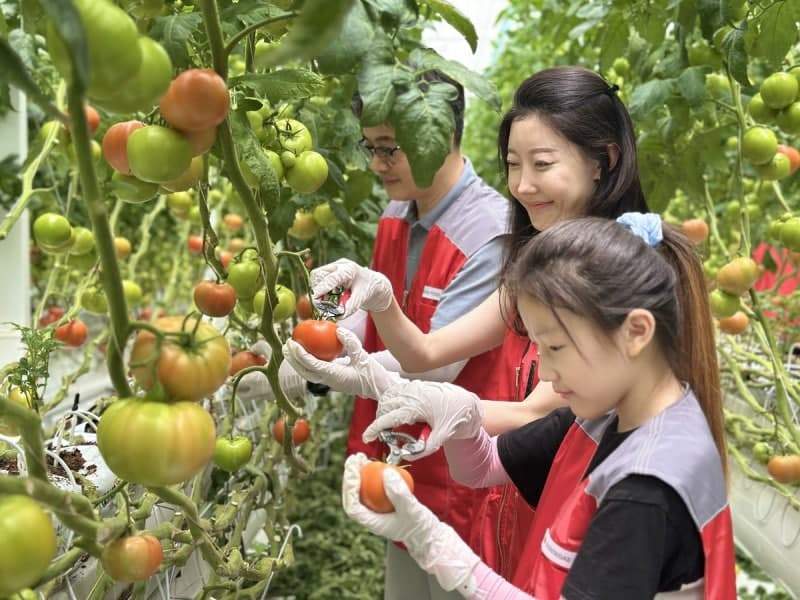 신세계푸드, '창립 31돌' 맞아 토마토 협력 농가서 일손 돕기 봉사…임직원 가족도 참여