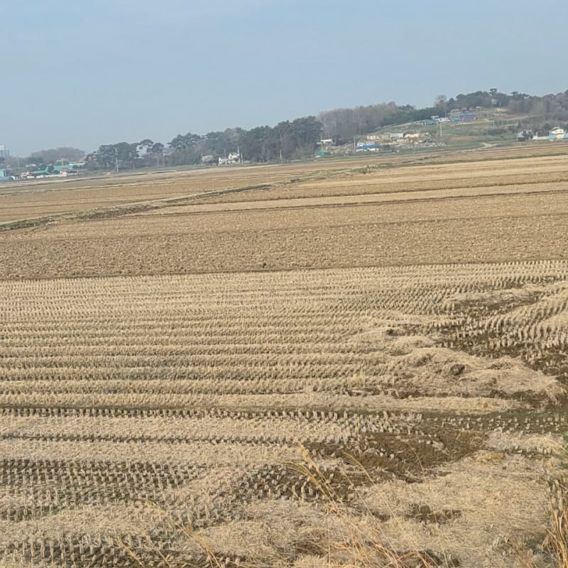 충남 농지위원회 '거수기' 전락 우려, 부결률 전국 평균 절반 수준
