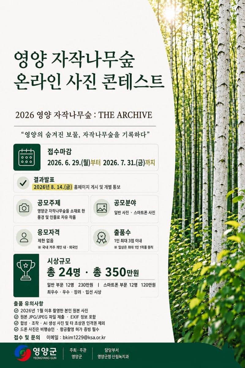 영양군, 자작나무숲 온라인 사진 콘테스트 개최…“숨겨져 있는 보물 찾아보세요”