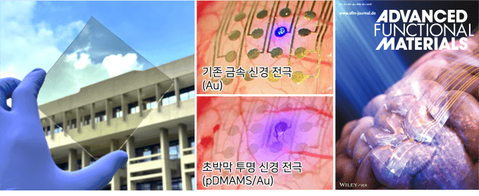 “200만 망막손상 환자 희소식” KIST, 실명 생쥐서 '인공시각' 78% 재현…초박막 투명 전극 개발