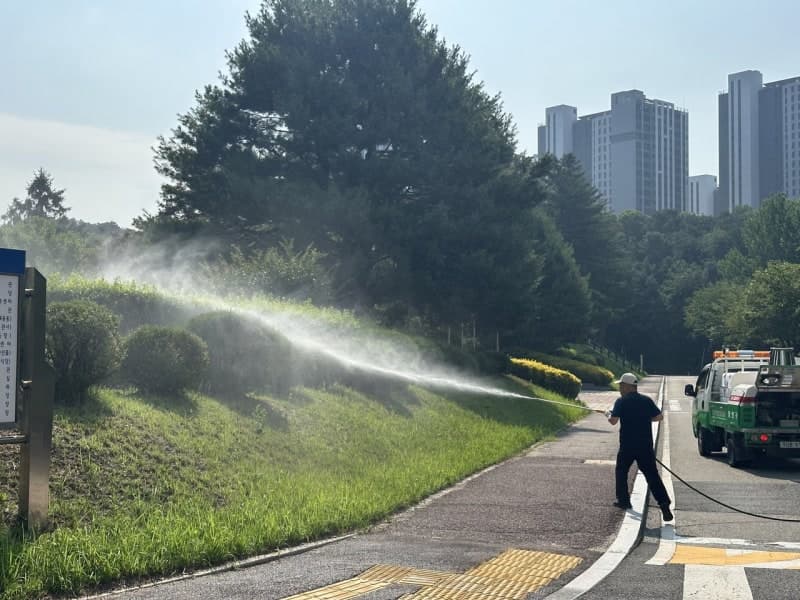 수원시, 러브버그 확산 막아라! 집중관리지역 친환경 방제 돌입