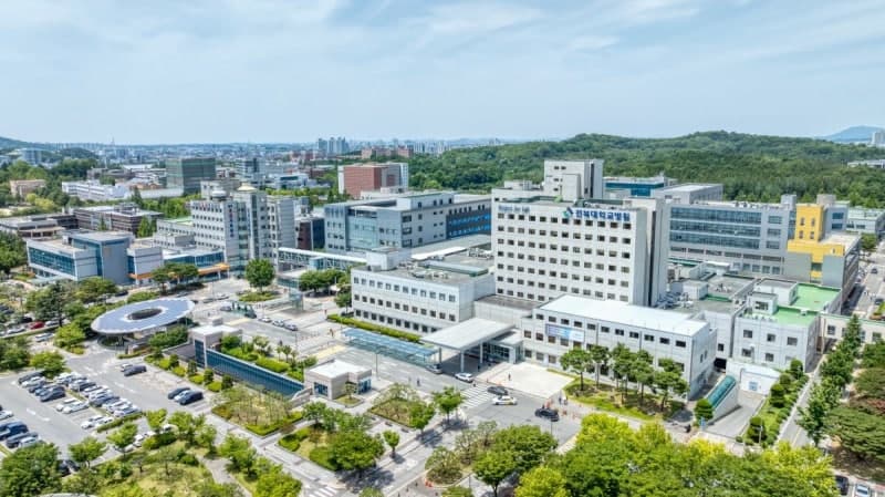 “그만 두고 싶다” 전북대병원 NICU 교수 한탄에 지역 사회 화들짝…전북 유일 권역 모자 의료센터 운영 '빨간불'