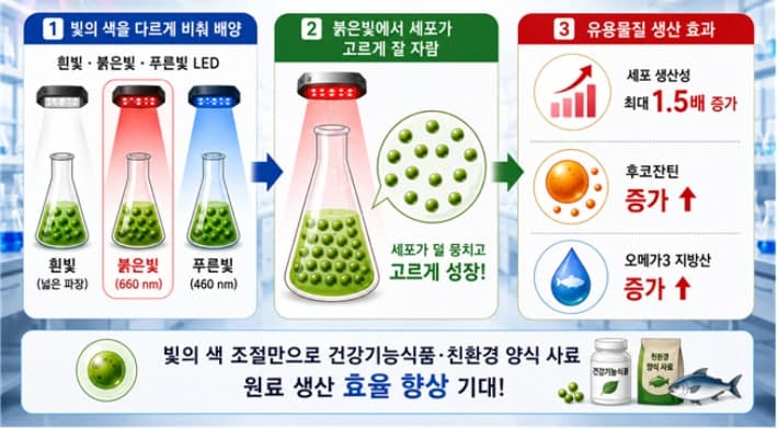 생명연 "붉은빛 환경서 미세조류 오메가3·후코잔틴 생산성 가장 높아"