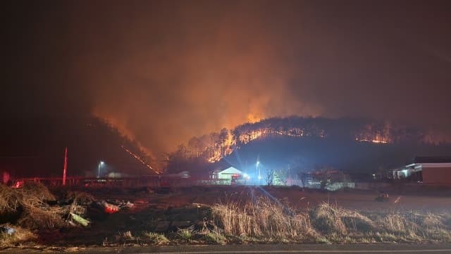 지난해 언양 대형 산불 50대 실화자 징역 1년 집행유예 3년 선고