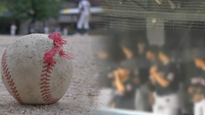"프로 스카우트들도 주저할 것"…배재고 야구부 6개월 출전 정지, 프로행 빨간불