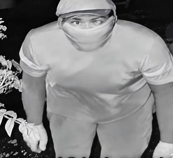 "외국인 아니었어?"...20일째 미궁 '통영살인' 용의자 사진, 알고 보니 AI 가짜였다
