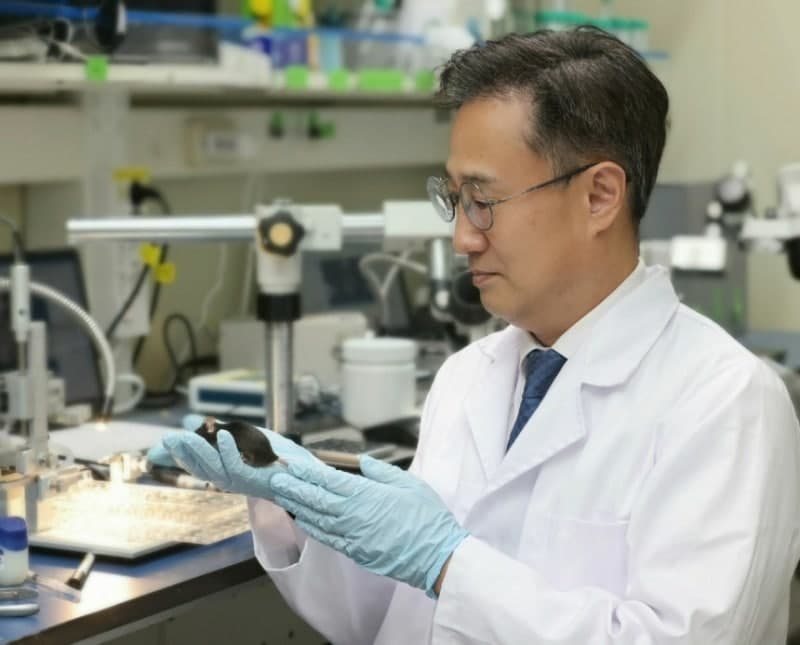 KAIST, "학습없이 행동 관찰만으로" 자폐증 구분하는 동물 행동 읽는 AI '비헤이버트' 개발