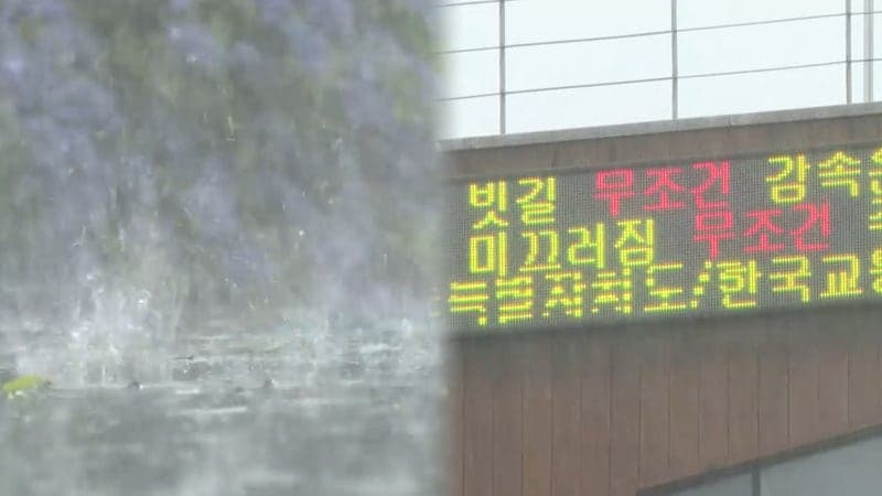 지각 장마 시작부터 제주 한라산 200mm 넘는 폭우…쓰러진 나무 안전조치