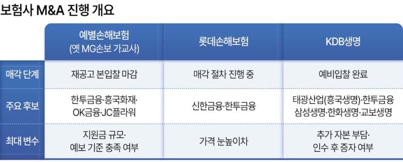신한금융, 롯데손보 품고 '비은행 퍼즐' 맞출까…보험업계 M&A로 지각변동 예고