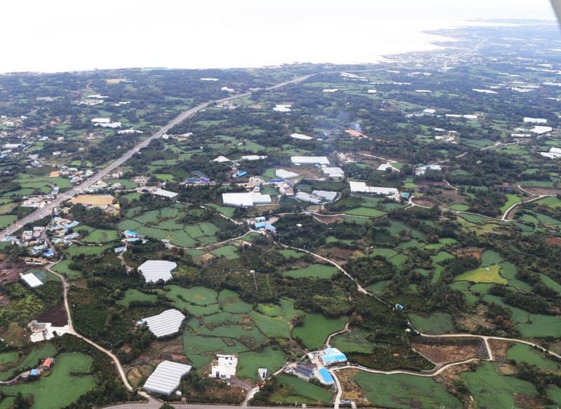 제주자치경찰, 제2공항 예정지 등 불법 형질 변경·산림 훼손 특별단속